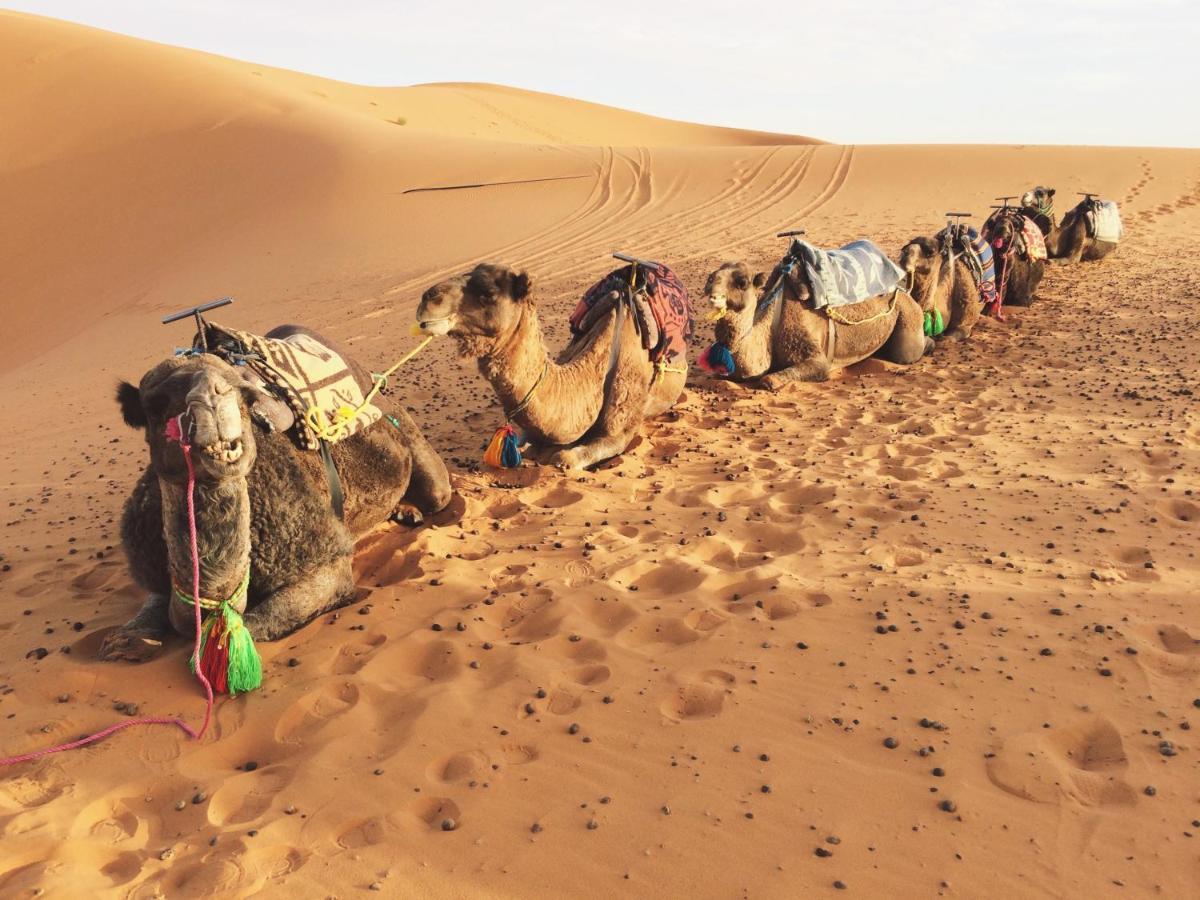 Sahara Stories Camp " Heated Tents" メルズーガ エクステリア 写真